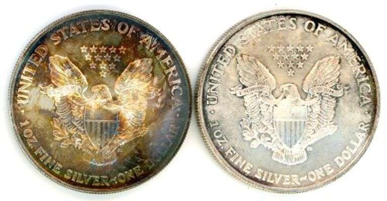 2 Different American Silver Eagles: 2002 & 2005