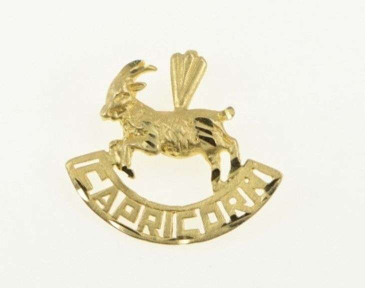 14K Yellow Gold Capricorn Zodiac Sign Astrology Symbol Charm/Pendant