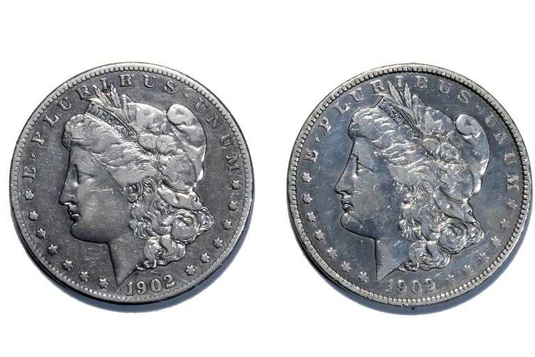 1902 P & O Morgan Dollars From a Near Complete Set