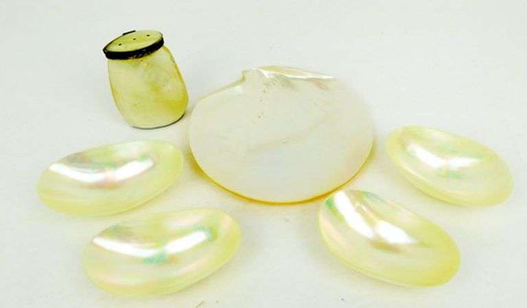 Mother Of Pearl Caviar Set & Shaker