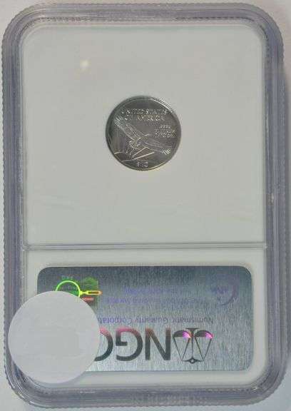 Near Flawless 2006 $10 pure Platinum Eagle. NGC MS69 First Strikes