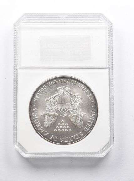MS70 2002 American Silver Eagle PCI
