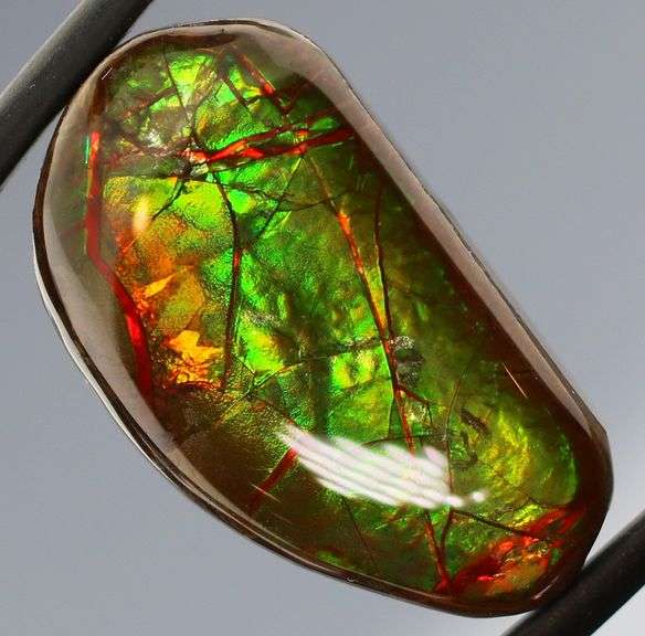 Check out the flashing! 20ct dragonfly pattern Ammolite
