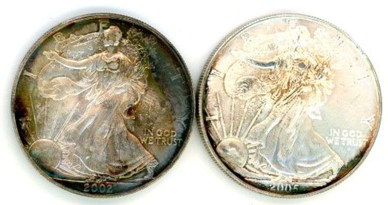 2 Different American Silver Eagles: 2002 & 2005