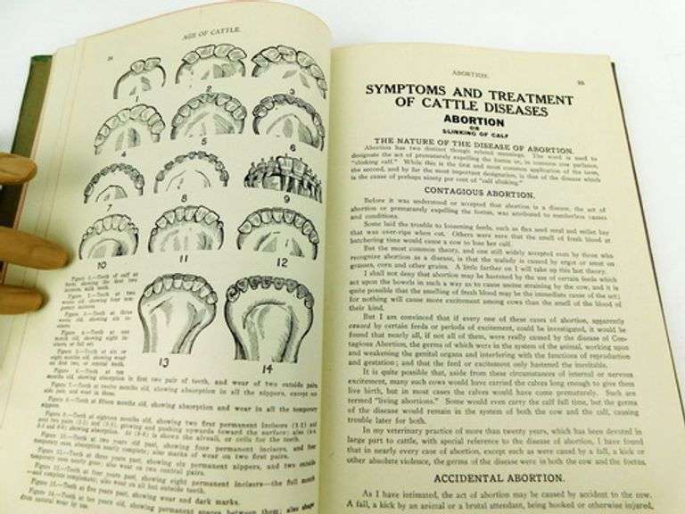 1913 Practical Home Veterinarian