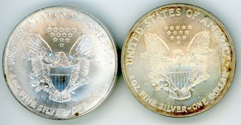 2 Different American Silver Eagles: 2001 & 2006