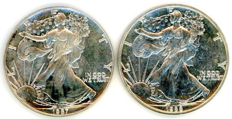 2 Different American Silver Eagles: 1987 & 1988