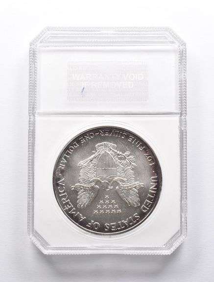 MS70 1999 American Silver Eagle PCI