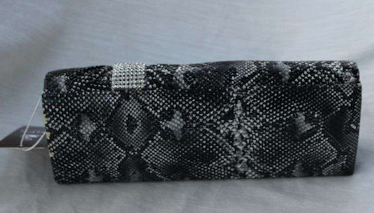 An Eye Catching Clutch Bag