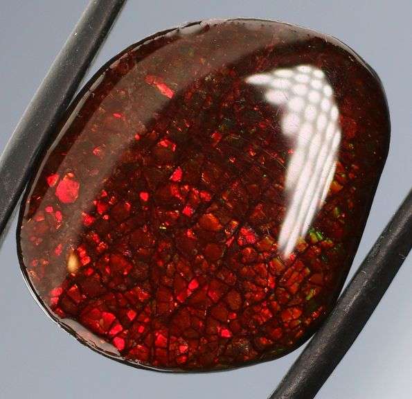 Fiery 17.78ct dragon scale Ammolite