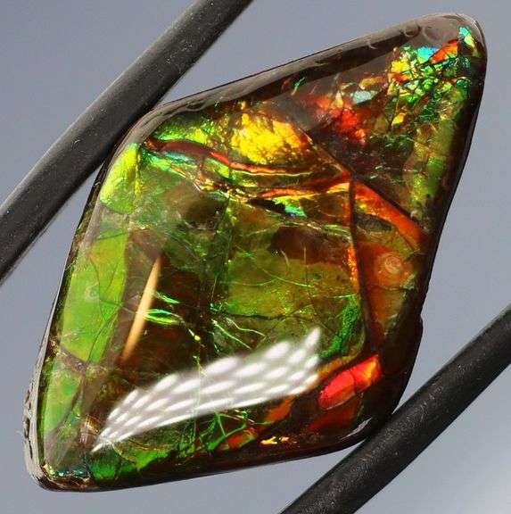 Outstanding 17.51ct full cover Ammolite Opal