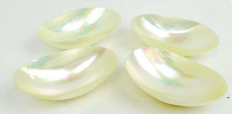 Mother Of Pearl Caviar Set & Shaker