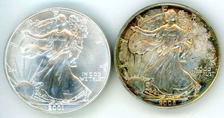 2 Different American Silver Eagles: 2001 & 2006