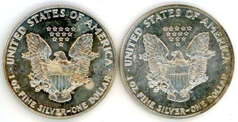 2 Different American Silver Eagles: 1987 & 1988