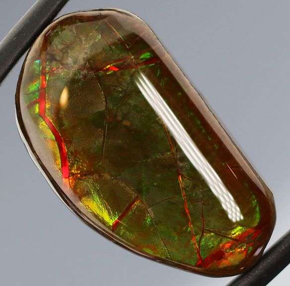 Check out the flashing! 20ct dragonfly pattern Ammolite