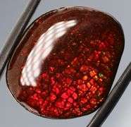 Fiery 17.78ct dragon scale Ammolite