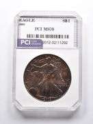 MS70 2002 American Silver Eagle PCI