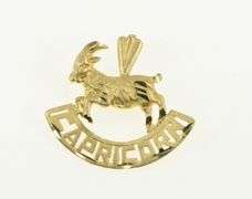 14K Yellow Gold Capricorn Zodiac Sign Astrology Symbol Charm/Pendant