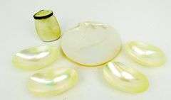 Mother Of Pearl Caviar Set & Shaker