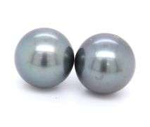 Pleasing White Gold 10.5mm Tahitian Pearl Stud Earrings