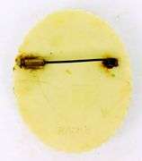 Antique Paris, France Large Celluloid Cameo Brooch