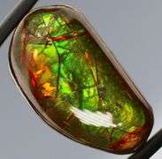 Check out the flashing! 20ct dragonfly pattern Ammolite