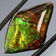 Outstanding 17.51ct full cover Ammolite Opal