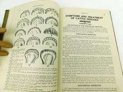 1913 Practical Home Veterinarian