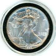 1990 American Silver Eagle in Custom Capsule