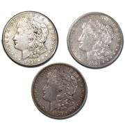 1921 P D S Morgan S Dollars From a Near Complete Set