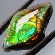 Outstanding 17.51ct full cover Ammolite Opal