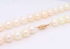 Elegant Fresh Water Pearl Necklace with Gold Clasp