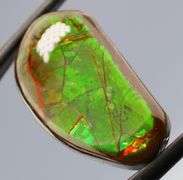 Check out the flashing! 20ct dragonfly pattern Ammolite