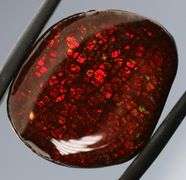 Fiery 17.78ct dragon scale Ammolite