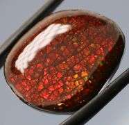 Fiery 17.78ct dragon scale Ammolite