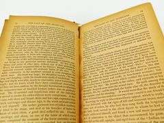 1889 the Last of the Mohicans Antique Book