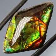 Outstanding 17.51ct full cover Ammolite Opal