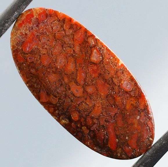 Fantastic 8.15ct cabochon cut from dinosaur bone