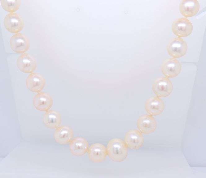 Elegant Fresh Water Pearl Necklace with Gold Clasp