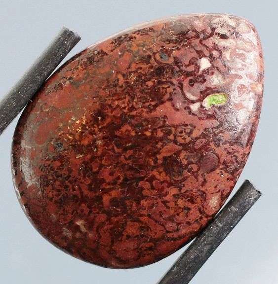 Great 16.90ct cabochon cut from dinosaur bone