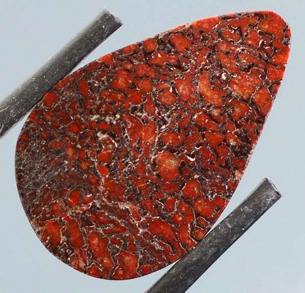 Really cool 10ct cabochon cut from dinosaur bone