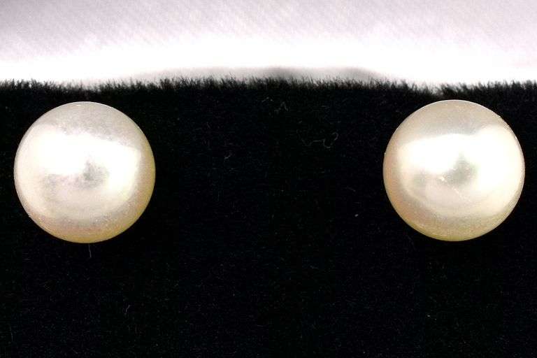 Calmly White Pearl Stud Earrings in 14K Yellow Gold