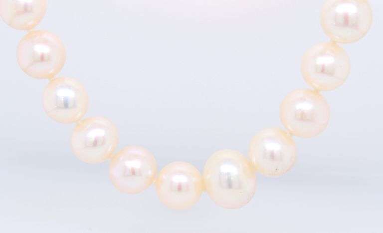 Elegant Fresh Water Pearl Necklace with Gold Clasp