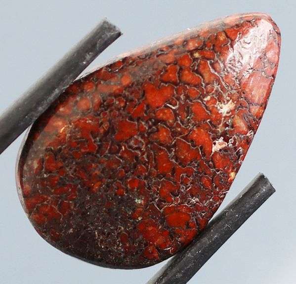 Really cool 10ct cabochon cut from dinosaur bone