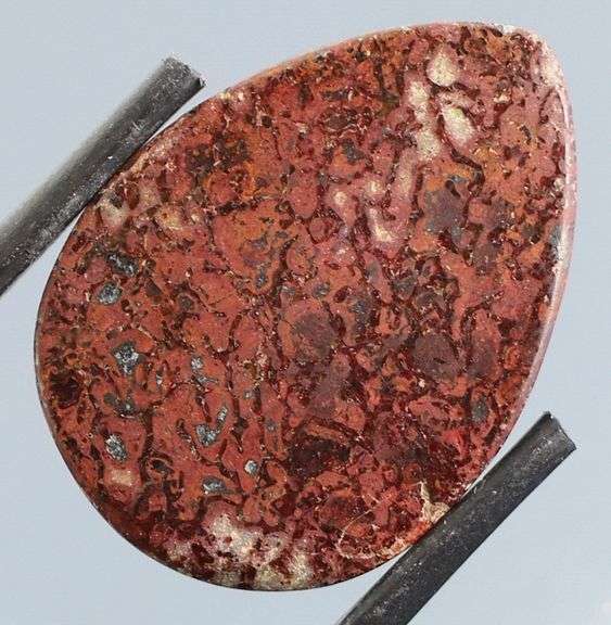 Great 16.90ct cabochon cut from dinosaur bone