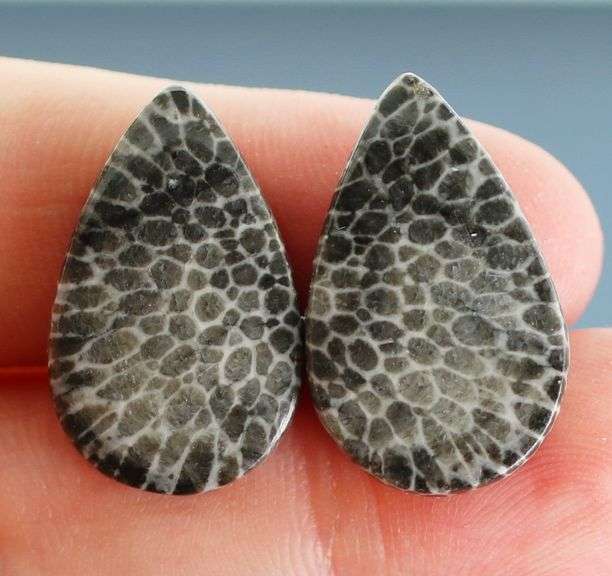 Matched! 24.50ct dinosaur bone cabochon pair
