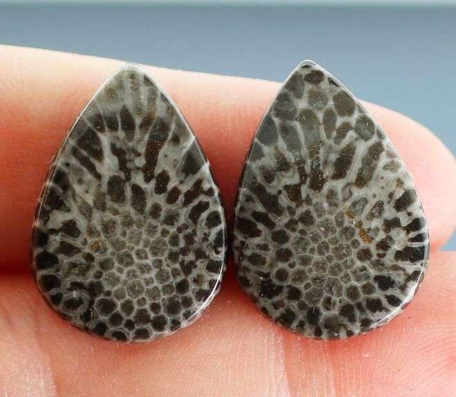Matched! 24.75ct dinosaur bone cabochon pair