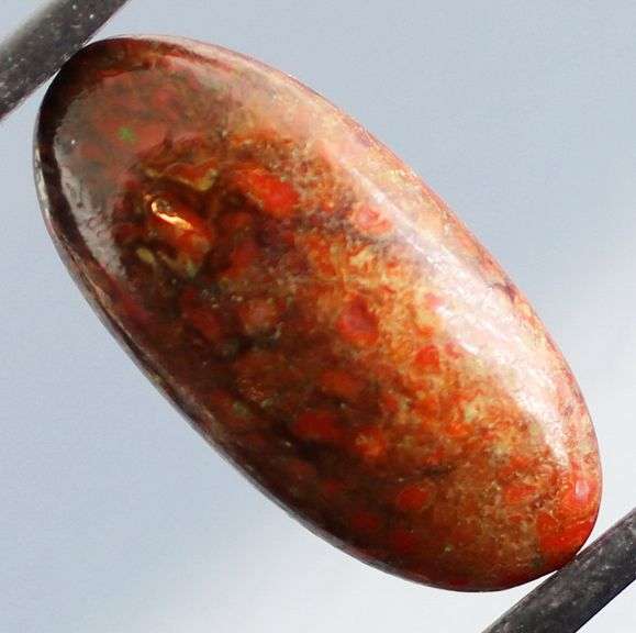 Fantastic 8.15ct cabochon cut from dinosaur bone