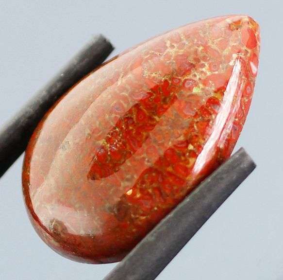 Excellent 22.80ct cabochon cut from dinosaur bone