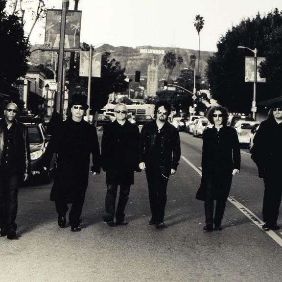 Toto by Shanahan, Rob